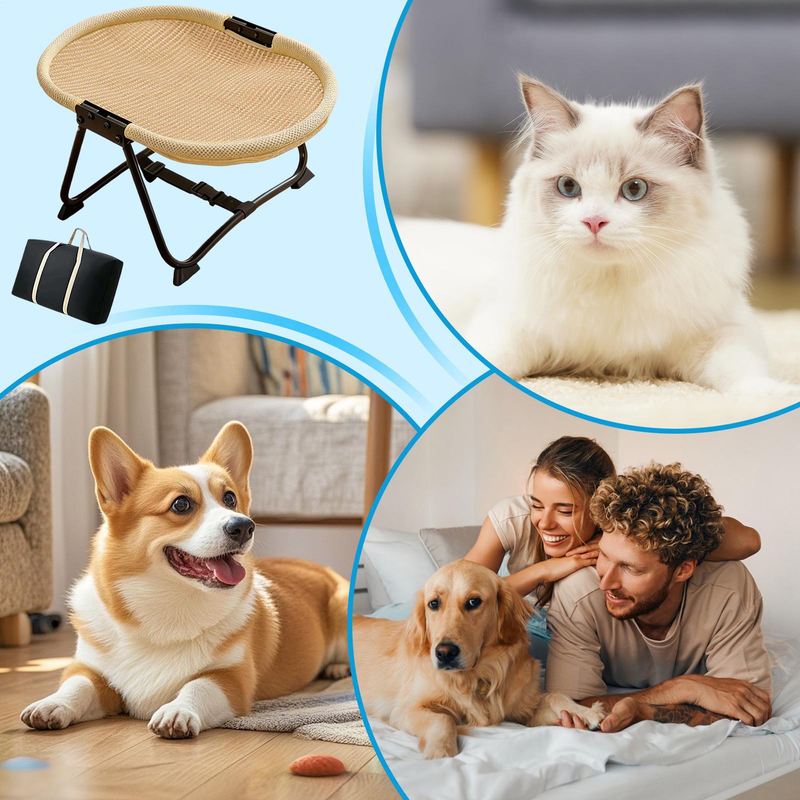 Dog Cot Bed Foldable Soft Hamm – обзор и цена Camping Cot Foldable